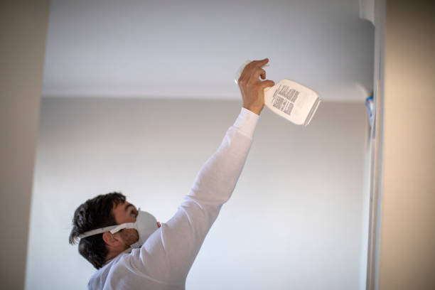 Best Crawl Space Mold Removal  in Aristocrat Ranchettes, CO