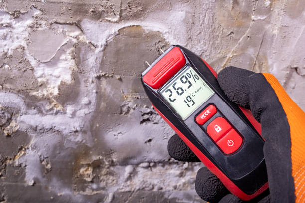 Best Water Damage Restoration  in Aristocrat Ranchettes, CO